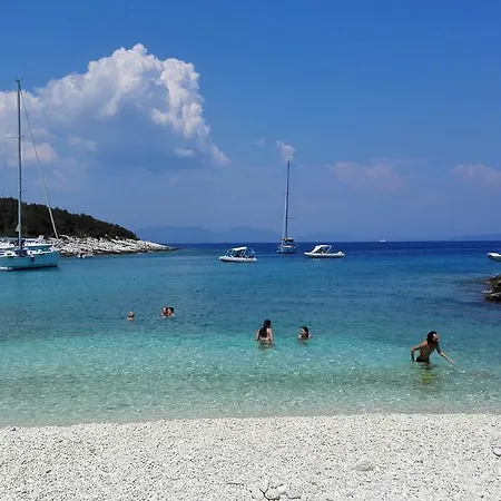 فيلة Bluevilla *